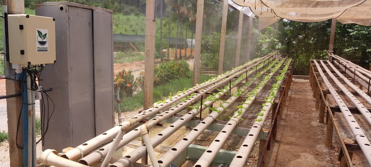 Vista panorâmica da estufa hidropônica com bancadas de cultivo